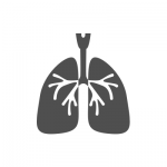 lungs-grey-on-white lungs-grey-on-white