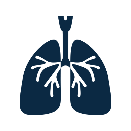lungs
