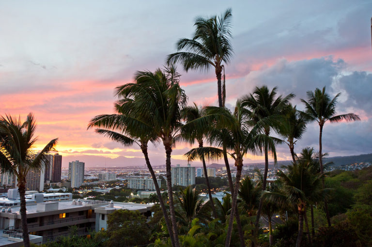 Palm trees and a sunset in Hawaii