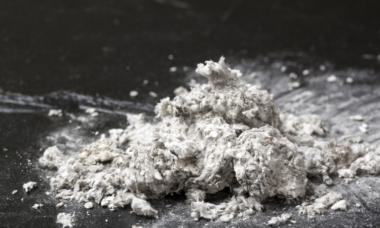 15 Attorneys General Take Action to Require Asbestos Reporting