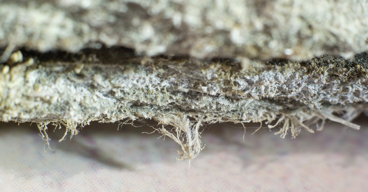 Close up of chrysotile asbestos fibers