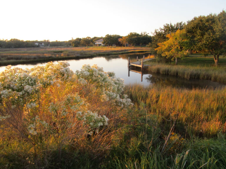 Beautiful Nature Scene in Pascagoula, MS