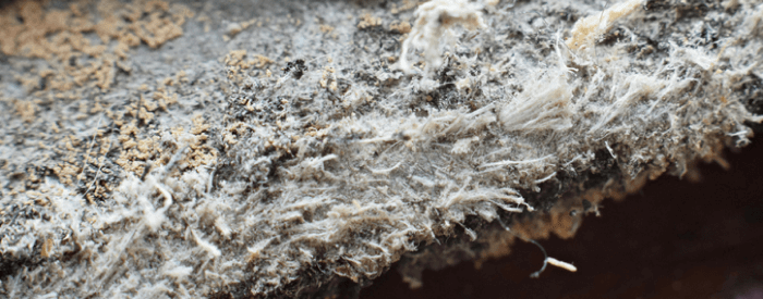 asbestos fibers