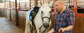 Ranch helper with a horse