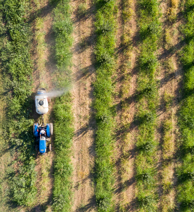 Products Containing Paraquat background image