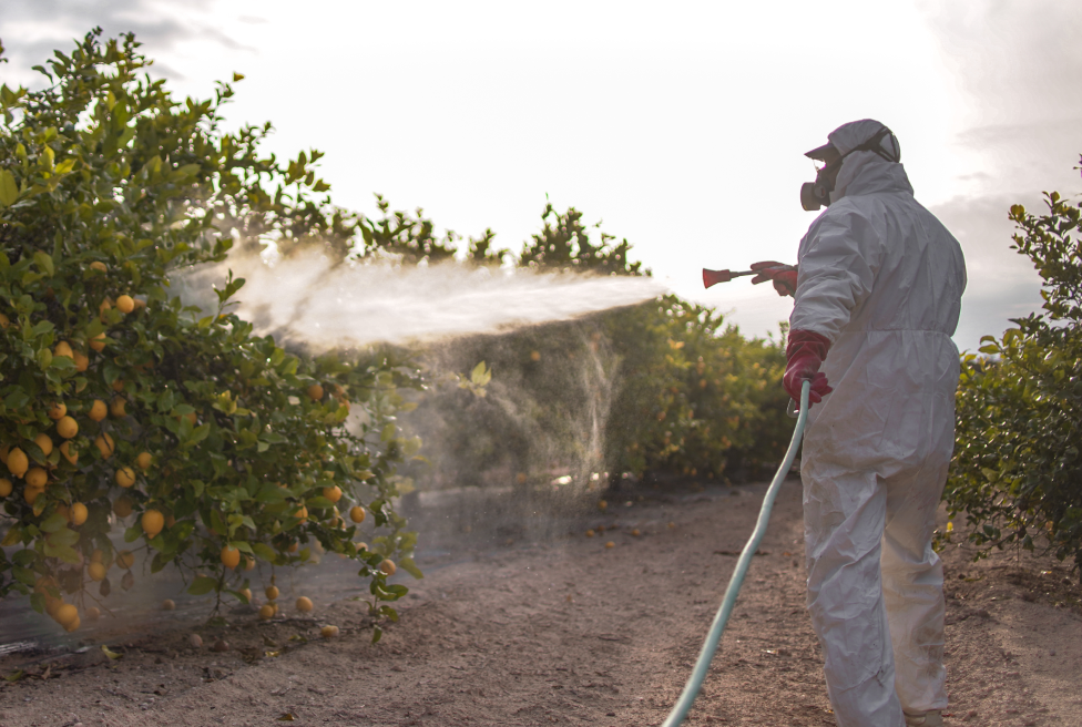 Herbicide Paraquat Linked to Parkinson’s Disease background image