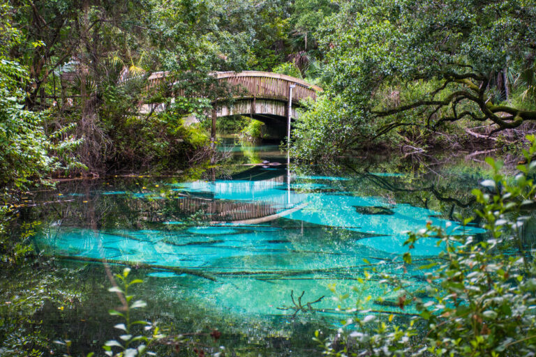 Beautiful bridge over water in Ocala, FL