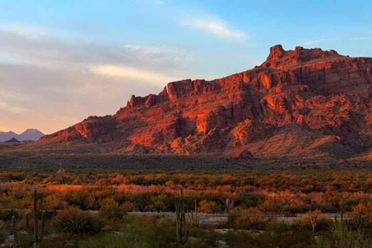 Desert landscape in Mesa, Arizona