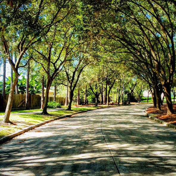 Spring, Texas