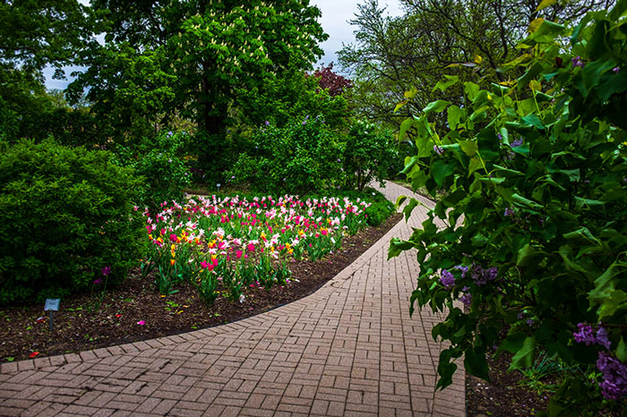 Lombard, IL